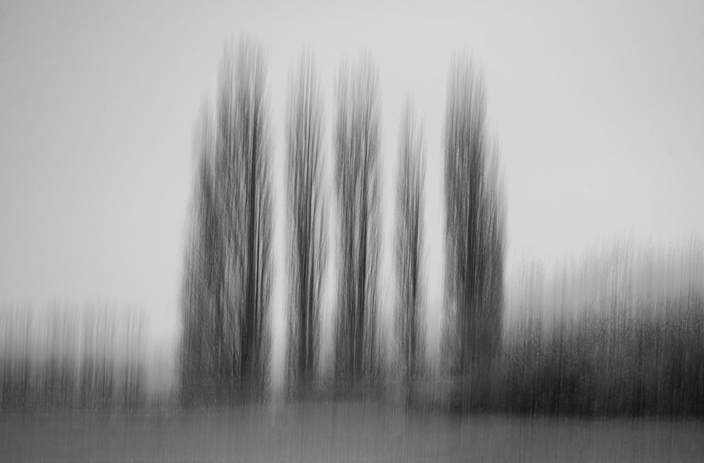 Vorsorge-Nachsorge